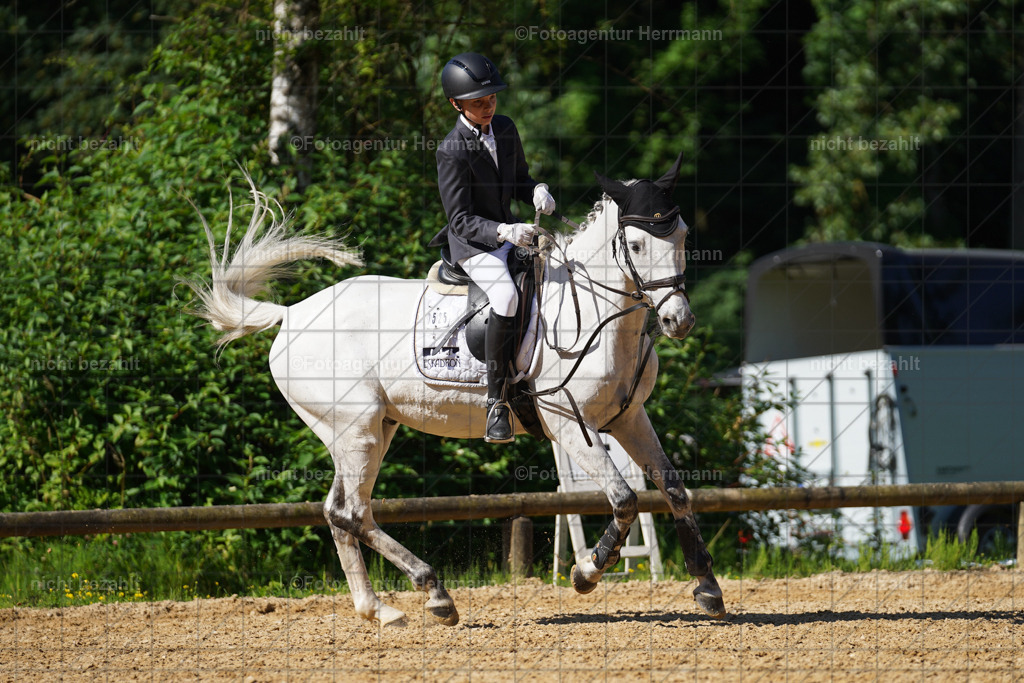 20240706-FAH04673 | Grafing Turnierfotos, Reitverein Ebersberg, Turnierfotografen Bayern, reitsportbilder, Pferdefotograf, reitsportfotograf, Sportbilder, Reitsportfotografie, Fotoagentur Herrmann, Turnierfotograf