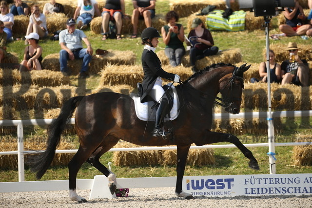 Birkhof_2022_GrandPrixSpecial_Franziska Stieglmaier_DSP Dauphin (3) | Alle Fotos der Reiterjournal Fotografin Doris Matthaes im Reiterjournal Online-Fotoshop. - Realisiert mit Pictrs.com