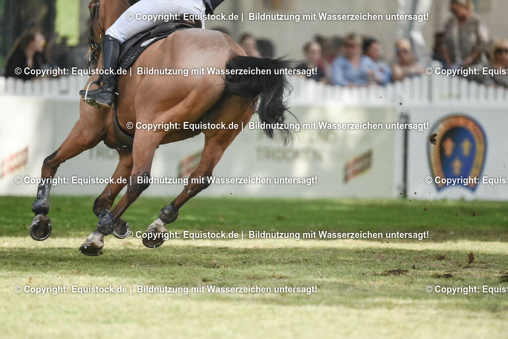 20230529_20_CSI4_Großer-Preis_0052 | equistock