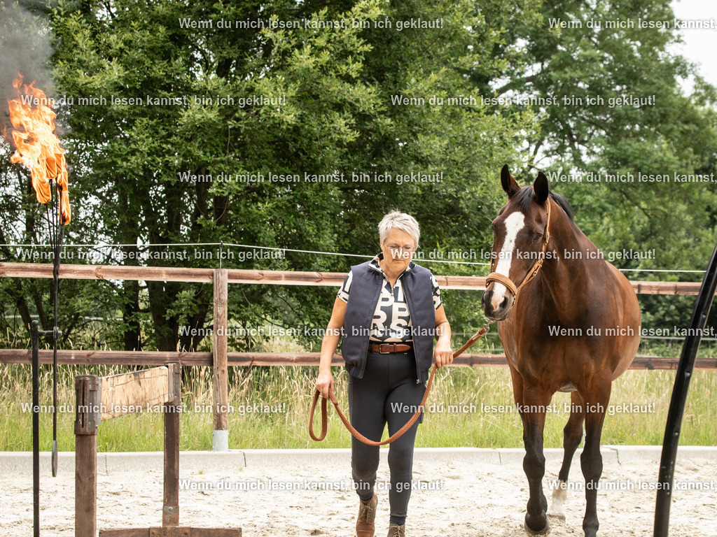 598A6768 | photographylinaismer - Realisiert mit Pictrs.com