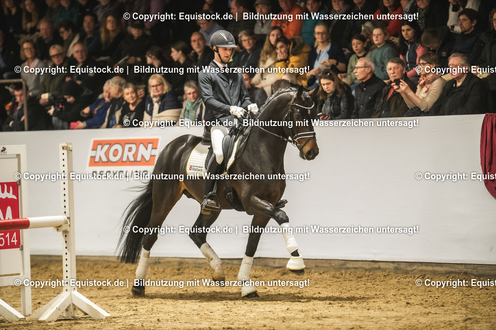 20240302_Hengstvorstellung_Marbach_TOMsPiC_0429 | equistock