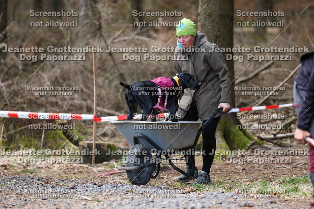 Dog Paparazzi - VCC26-825 | Dog Paparazzi Jeanette Grottendiek Fotografie & Videografie - Realisiert mit Pictrs.com