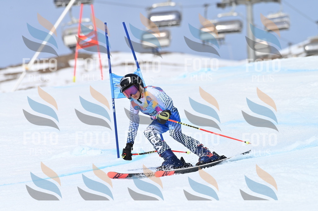 BGV_3546 | holidayphoto