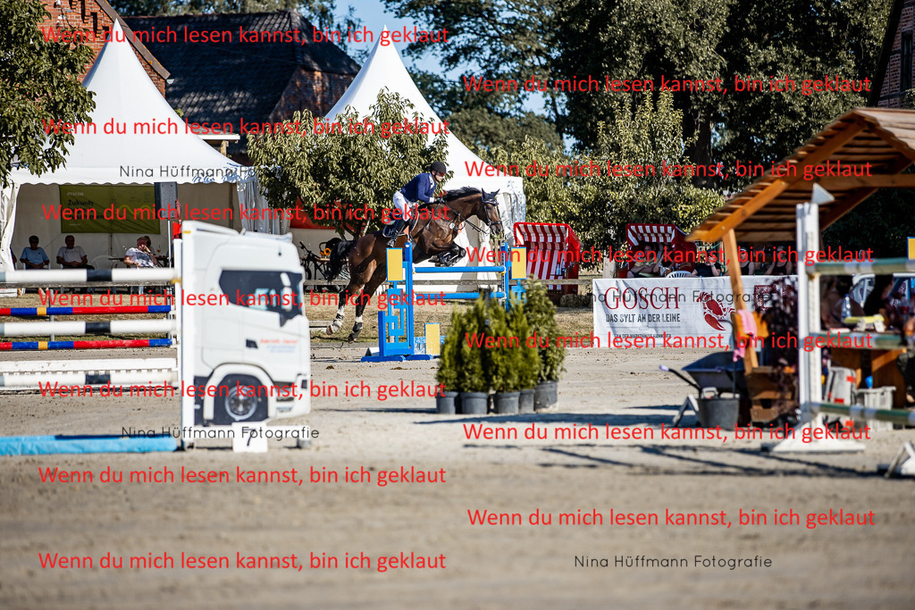 BK1A8122 | Turnierbilder Turnierfotos Nina Hüffmann Turnierfotografie Pferdefotografie Tierzeichnung Haustierzeichnung Pferdezeichnung Hundezeichnung Videograf  - Realisiert mit Pictrs.com