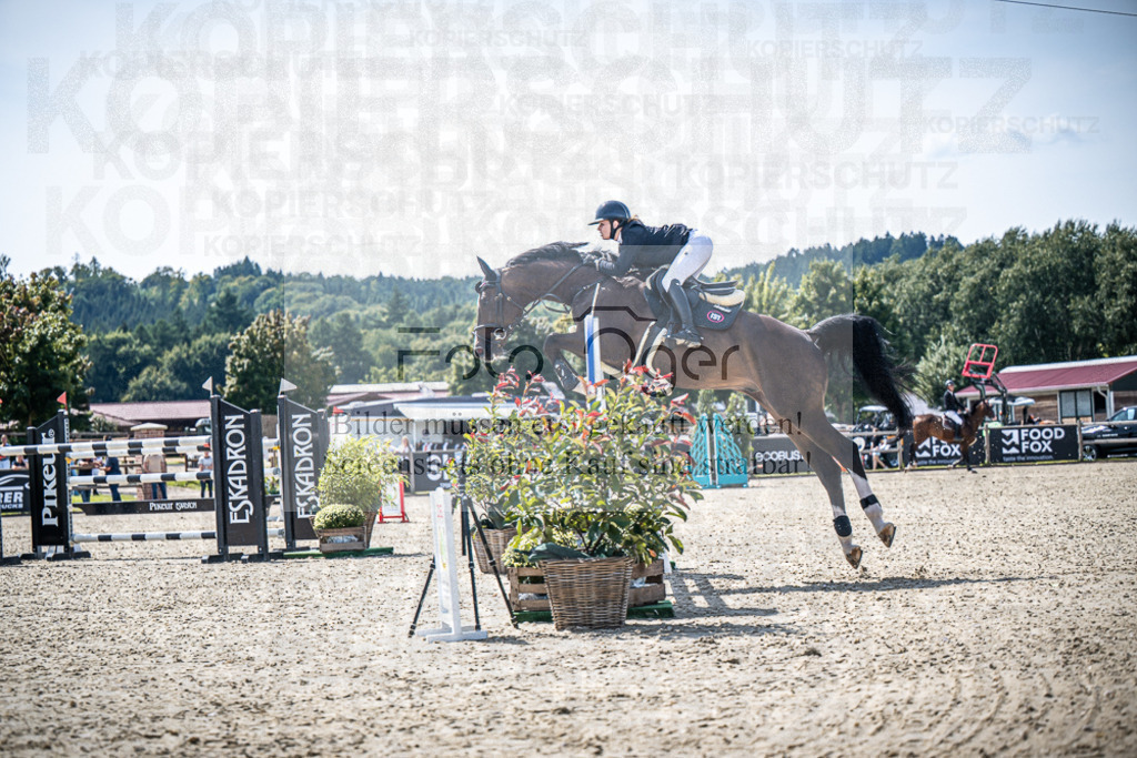 DOS_6917 | Entdecke hochwertige Reitturnierfotos von Foto Oger. Professionell, emotional und authentisch – jetzt Lieblingsmomente im Shop bestellen.Deutschlandweite Turnierfotografie. - Realisiert mit Pictrs.com