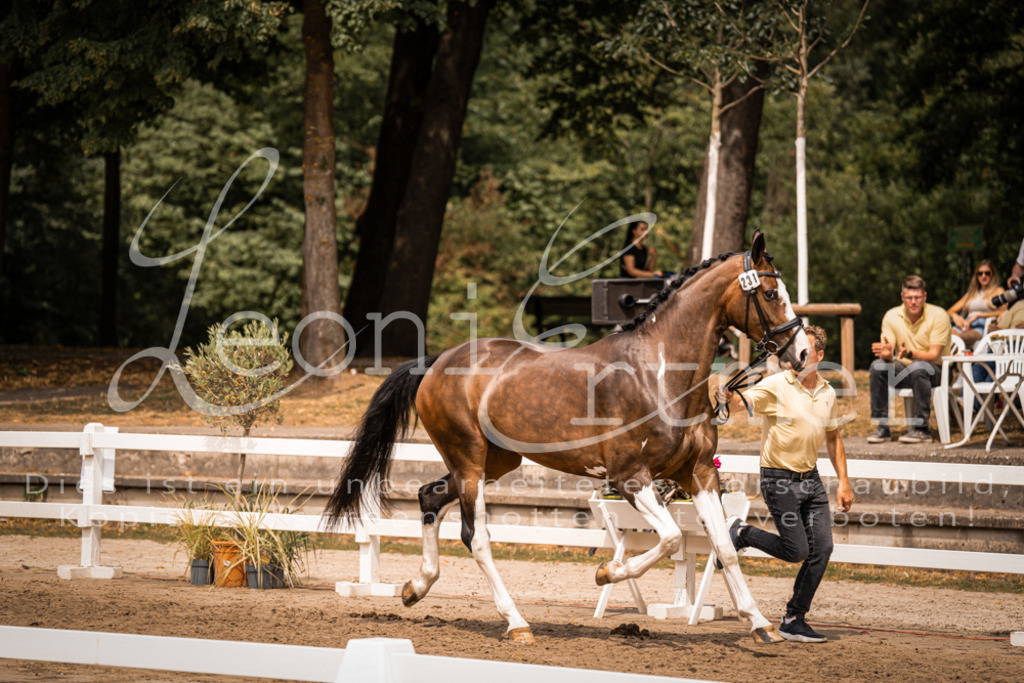 3.Fr00170 | Leoni Ertmer Photography - Realisiert mit Pictrs.com