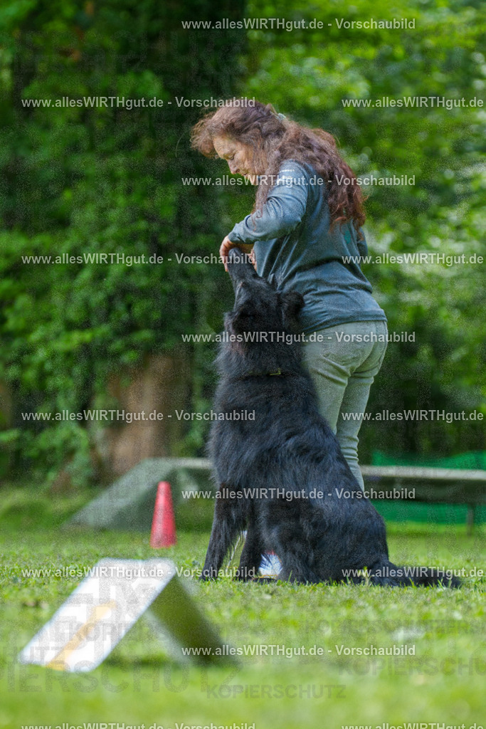 @allesWIRTHgut_Tierfotografie - www.allesWIRTHgut.de - 7R505714 | Professionelle Tierfotografie in Mönchengladbach von Daniel Wirth (allesWIRTHgut). Liebevolle & natürliche Bilder von Hunden & Katzen für unvergessliche Erinnerungen.