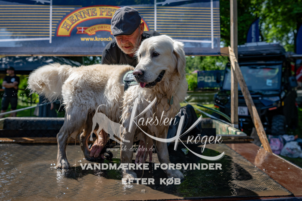1251_ZZ90248 | kk-dogfotos