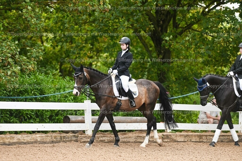 20230716_10-1_Reiter-WB Schritt - Trab - Galopp_0002 | equistock