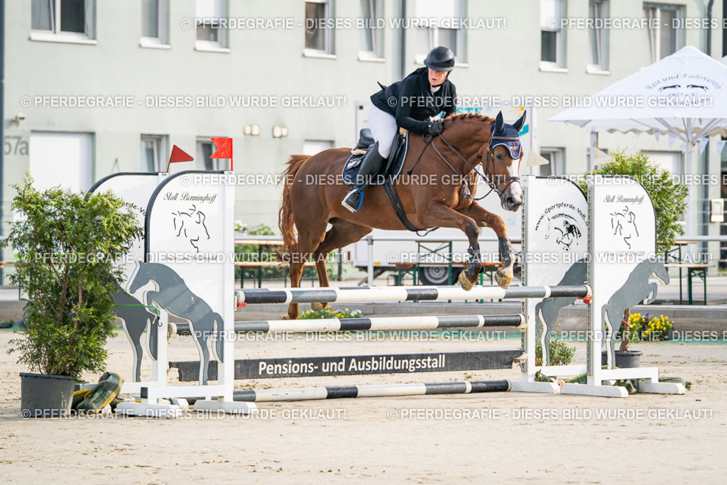 DSC07563 | Pferdegrafie