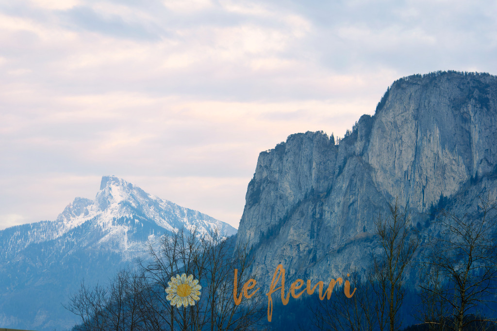 DSC_0017-NEF_DxO_DeepPRIME | Dies ist der Shop von Florian Blum - le fleuri. Langenthal, Bern, SchweizSie können hier meine oder ihre eigenen Fotos als Fotoprodukte kaufen. Tassen, Schlüsselanhänger, Taschen etc. können Sie hier gestalten.  - Realisiert mit Pictrs.com