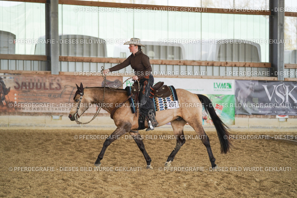 DSC00210 | Pferdegrafie