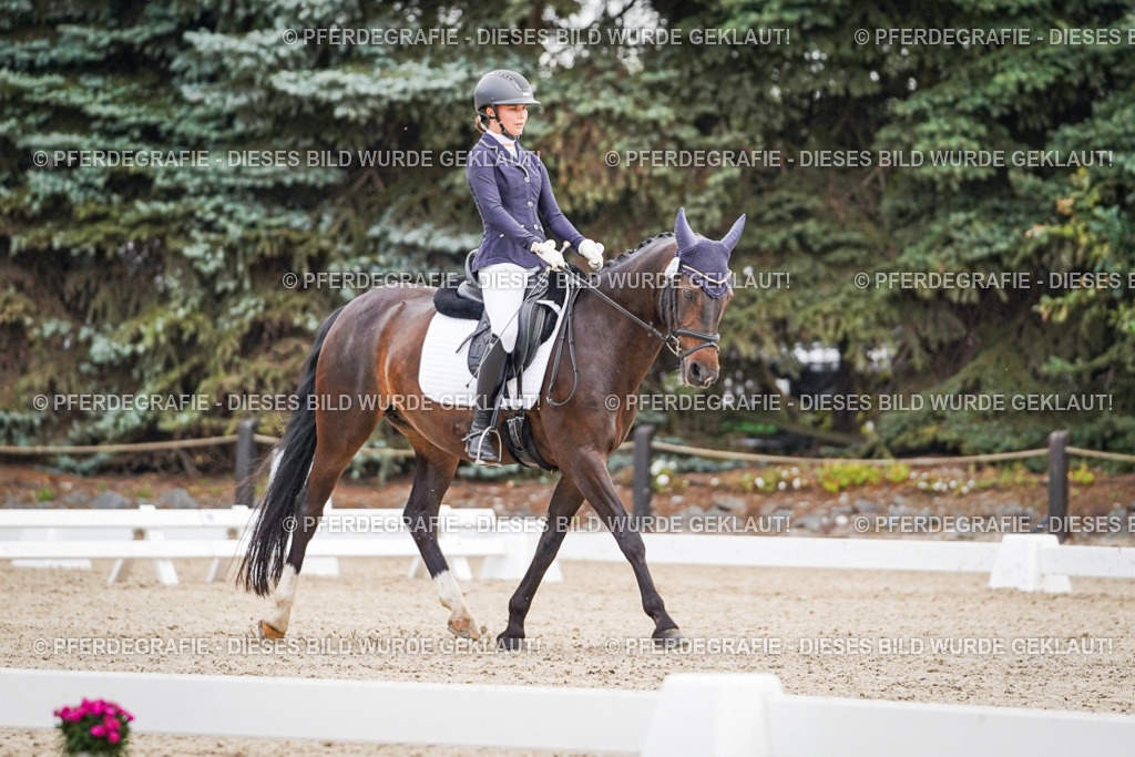 DSC01220 | Pferdegrafie