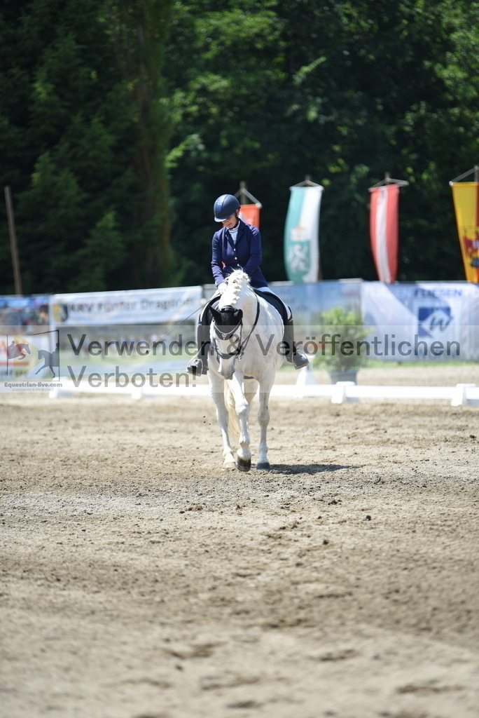 DSC_0341 | equestrian-live-com