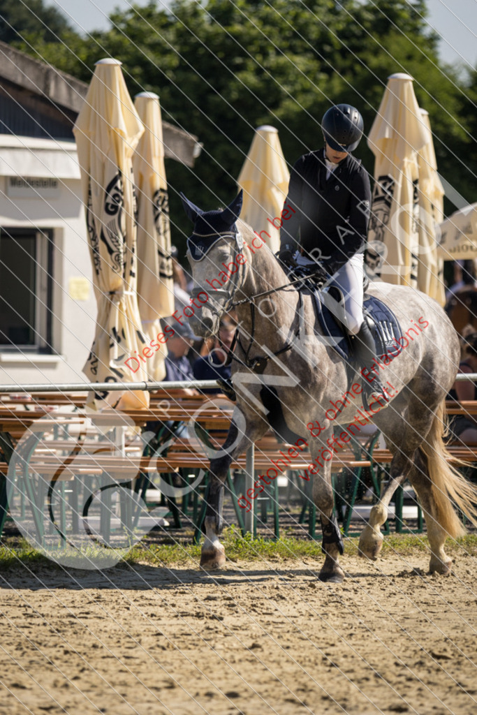 IMG_2702 | Sport-, Event- und Tierfotos in Profiqualität. Einfach auswählen, bestellen und herunterladen. Dein Moment – perfekt festgehalten.