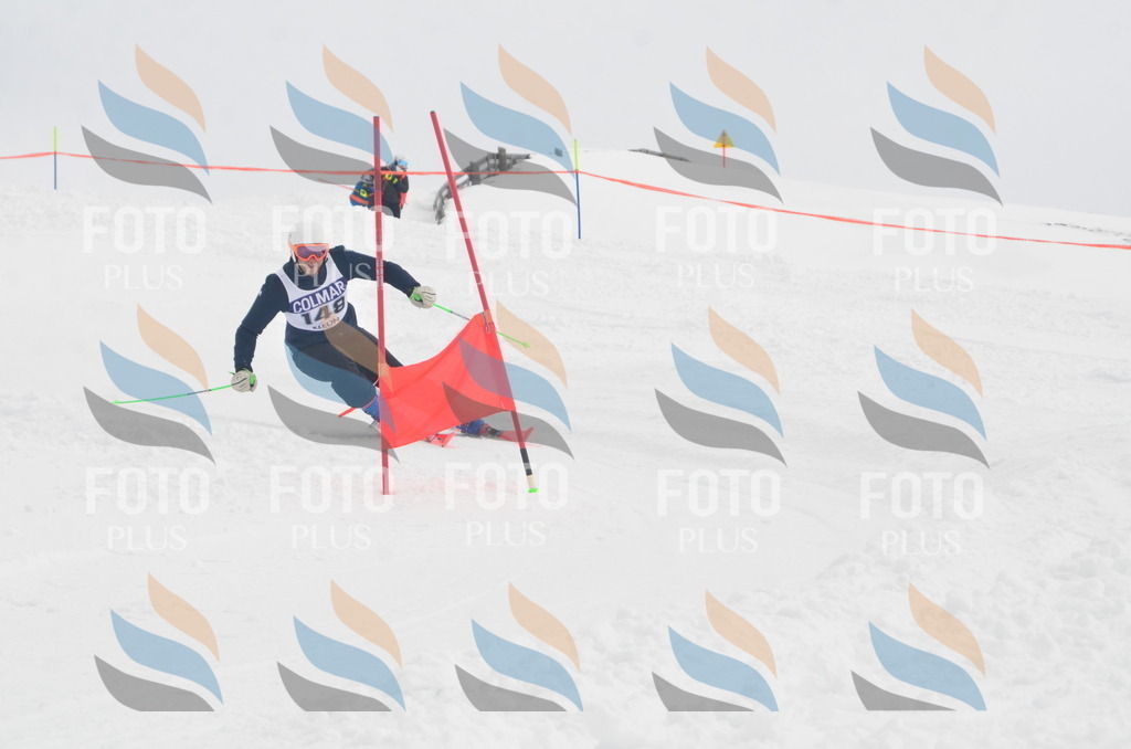 A6231 | holidayphoto