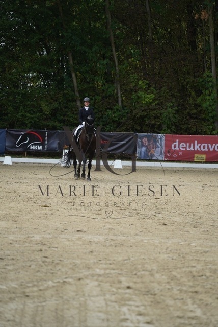 VAN04683 | Marie Giesen Fotografie - Realisiert mit Pictrs.com
