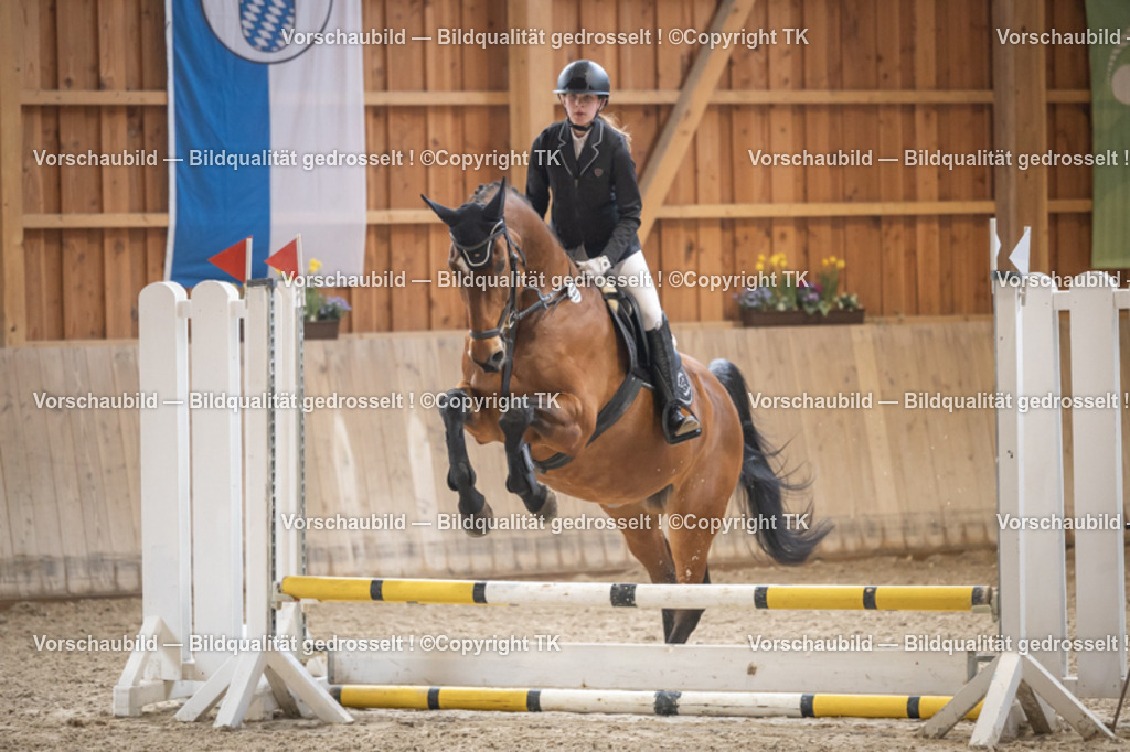 _D5A0046 | Emotionale Pferde- & People-Fotografie rund um Heidelberg, Leimen & Umgebung. Natürliche Fotos von Pferd, Mensch & Familie. Jetzt Termin sichern!