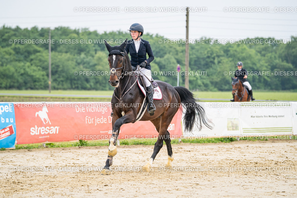 DSC00143 | Pferdegrafie