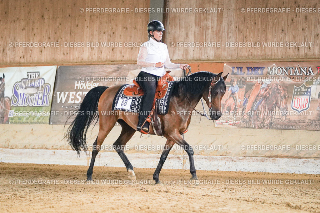 DSC05667 | Pferdegrafie