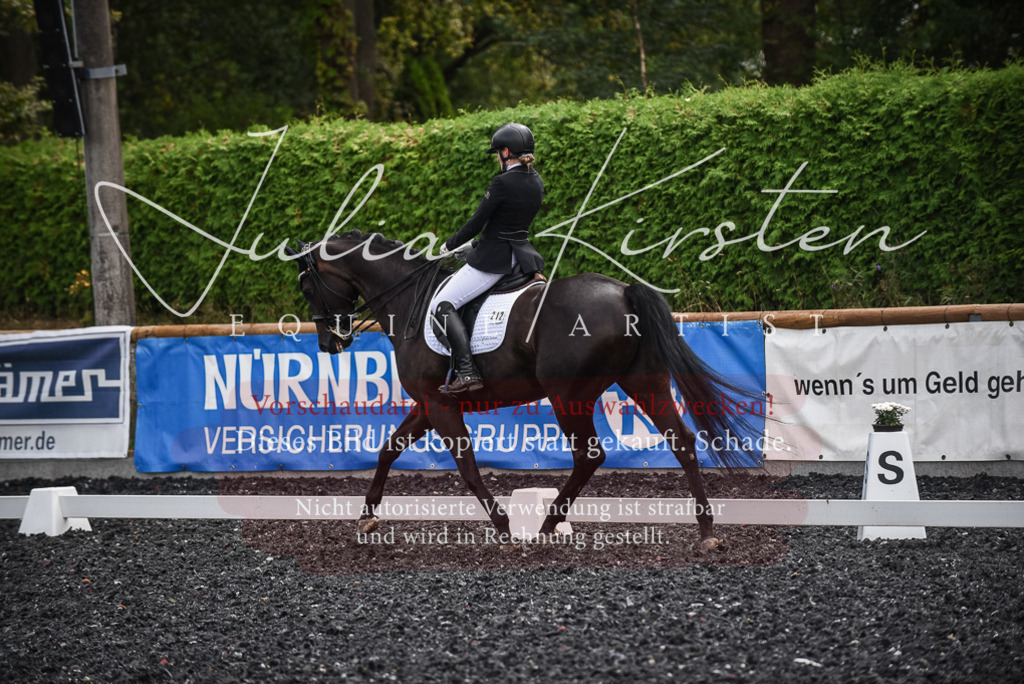DSC_4792 | Pferde- und Turnierfotografie in Westsachsen. Pferdeportraits, Auftragszeichnungen und intuitive Kunst.