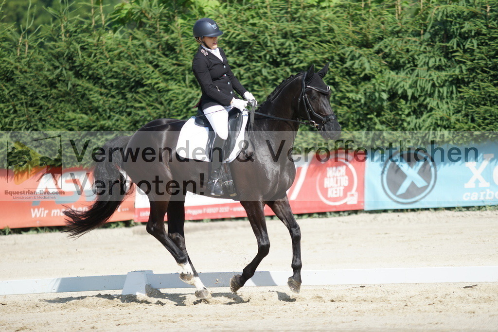 DSC04547 | equestrian-live-com