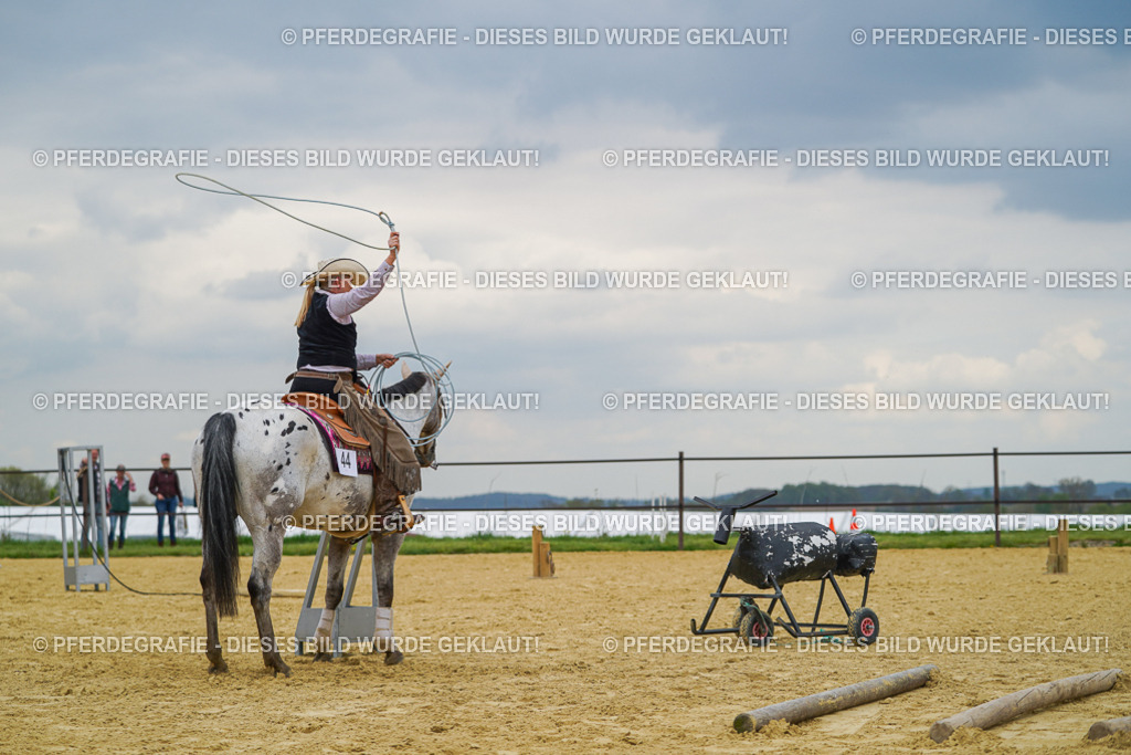 DSC07084 | Pferdegrafie