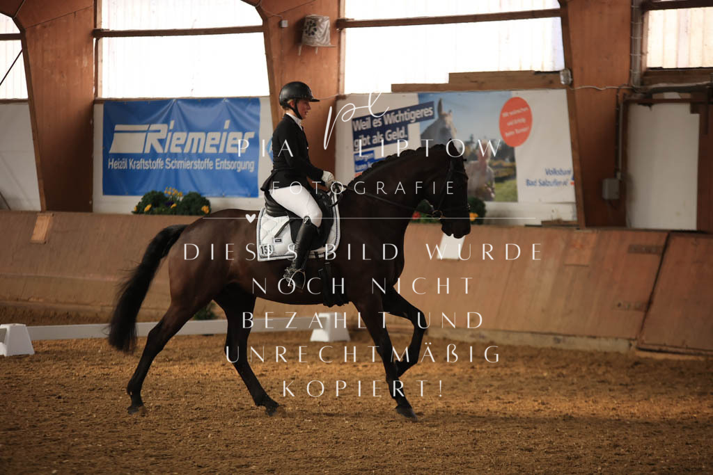 IMGT7295 | pl-fotografie