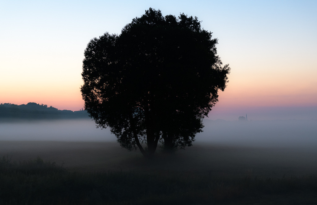 deutschland-2018-257 | Abendlicher Nebel über dem Selker Noor nach einem heißen Sommertag im Juli 2018. Aus dem mystischen Dunst ragt nur die markante Spitze des Schleswiger Domturms hervor. - Realisiert mit Pictrs.com