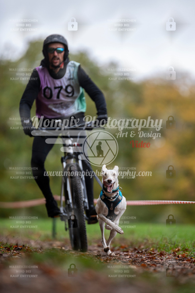 DBT_DAKM_SA_4_11_2023_Bike-52 | PayLife