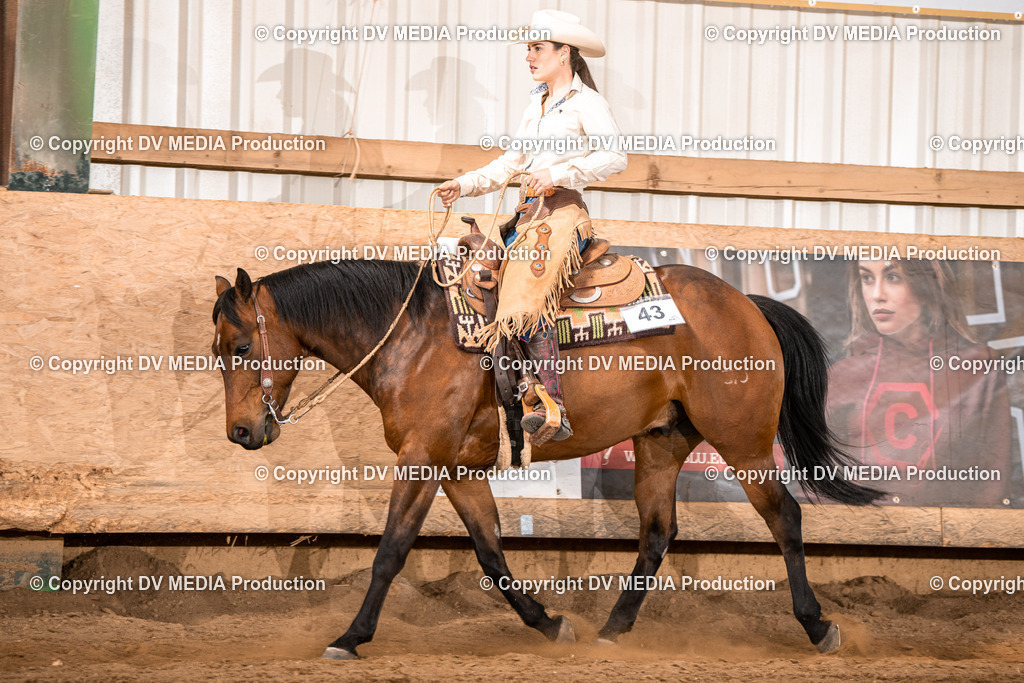 Balingen Tag 4-887 | dv-media-shop - Realisiert mit Pictrs.com