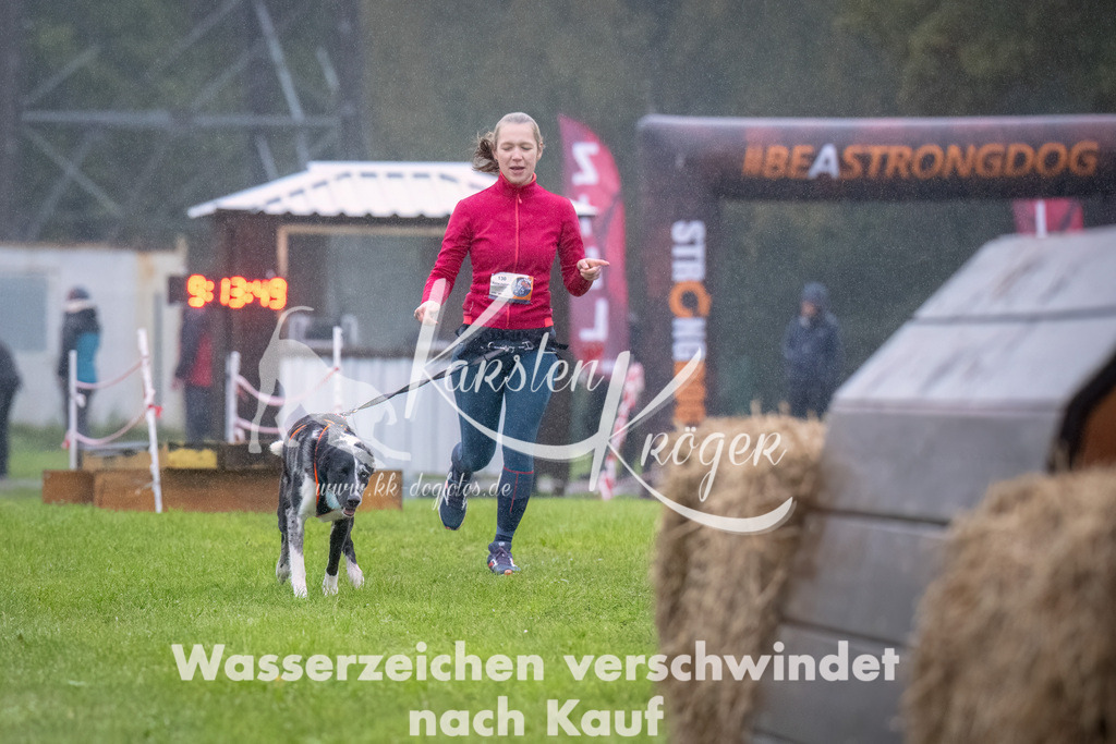 0915-_ZZ93694-Bearbeitet | kk-dogfotos