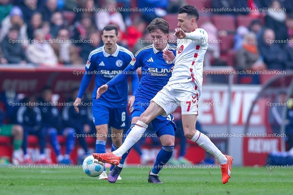 1FC09022501043 | 09.02.2025, Fußball, 1. FC Köln - FC Schalke 04, 2.. Fußball Bundesliga, 21. Spieltag, RheinEnergie-STADION, Saison 2024 2025: Dejan Ljubicic (FC Köln #7) im Zweikampf gegen Max Grüger (S04 #37)DFB regulations prohibit any use of photographs as image sequences and or quasi-video.