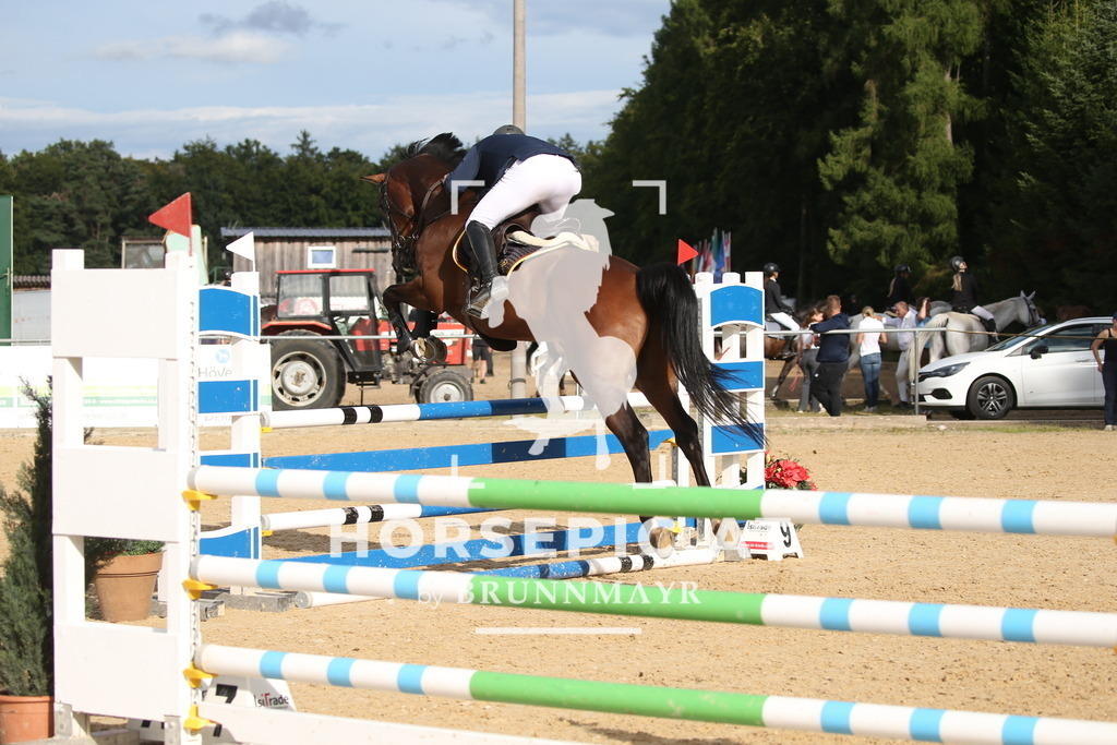 DL2Q3643 | Willkommen bei Brunnmayr - Design & Fotografie – Ihrem Spezialisten für Reitturniere und Pferdeveranstaltungen in Oberösterreich, Salzburg und Bayern! Seit über 17 Jahren sind wir leidenschaftlich dabei.