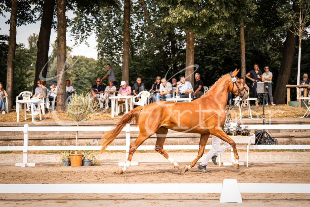 7.Fr00036 | Leoni Ertmer Photography - Realisiert mit Pictrs.com