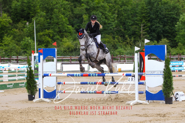 DKP41900 | Turniersportfotografie; Pferdefotografie; Dressurfotografie