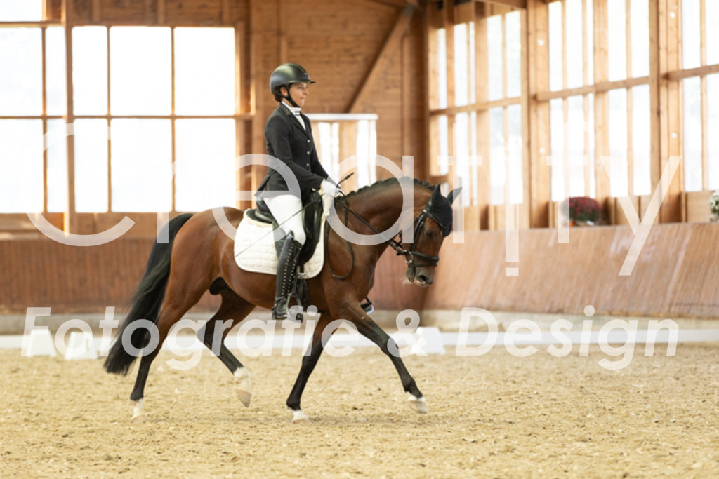 IMG_6035 | Creatify Fotografie