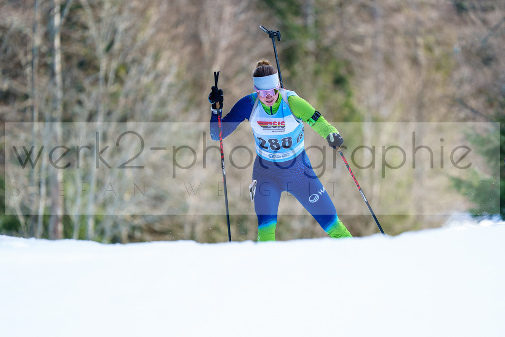 FESA Alpencup / DP Notschrei | Deutschland Pokal Finale im Schwarzwald NORDIC-CENTER Notschrei am 7. - 8. Februar 2026