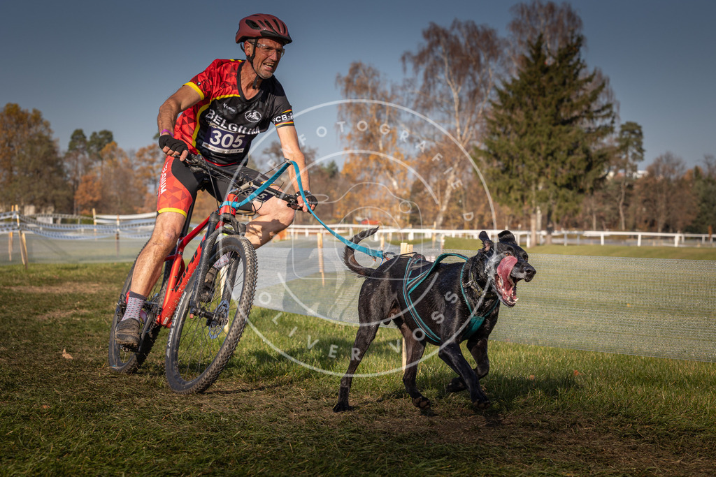 CaniXpix_0L8A7132 | Hundefotografie, Tierfotograf, Pfotenfotografie, Fotoshooting Hund, Hunde Portrait, Hundesport, Hundeportraits, Heideshooting, Hunde, Sportfotograf, Hundefotograf, Turnierhundsport, THS,  - Realisiert mit Pictrs.com
