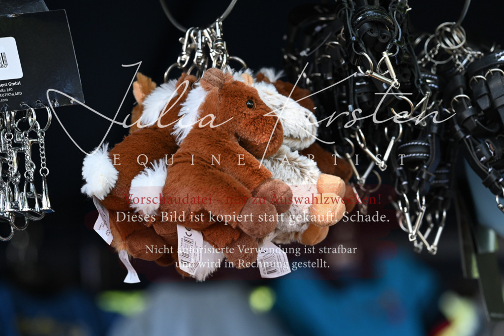 DSC_1823 | Pferde- und Turnierfotografie in Westsachsen. Pferdeportraits, Auftragszeichnungen und intuitive Kunst.