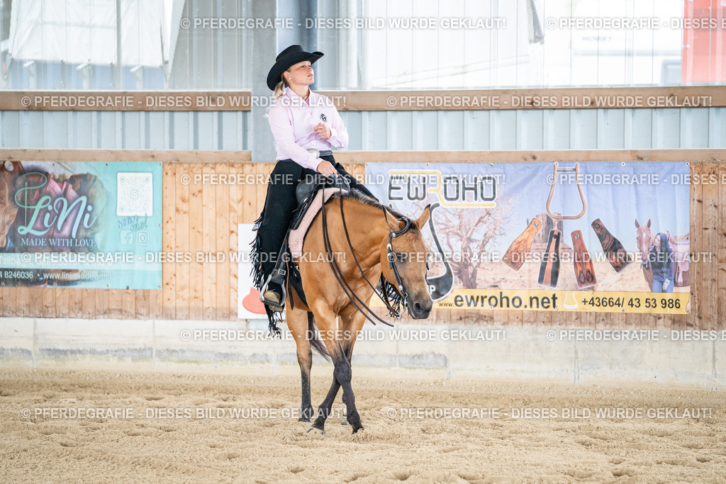 DSC02188 | Pferdegrafie