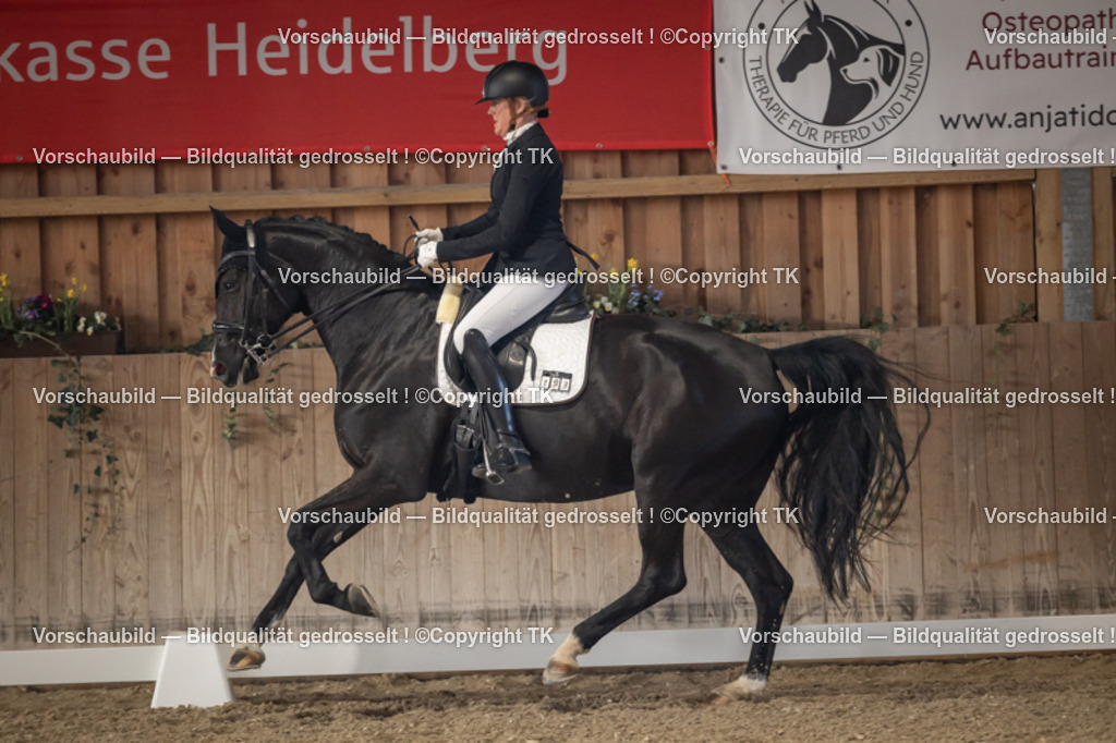 _D5A2700 | Emotionale Pferde- & People-Fotografie rund um Heidelberg, Leimen & Umgebung. Natürliche Fotos von Pferd, Mensch & Familie. Jetzt Termin sichern!