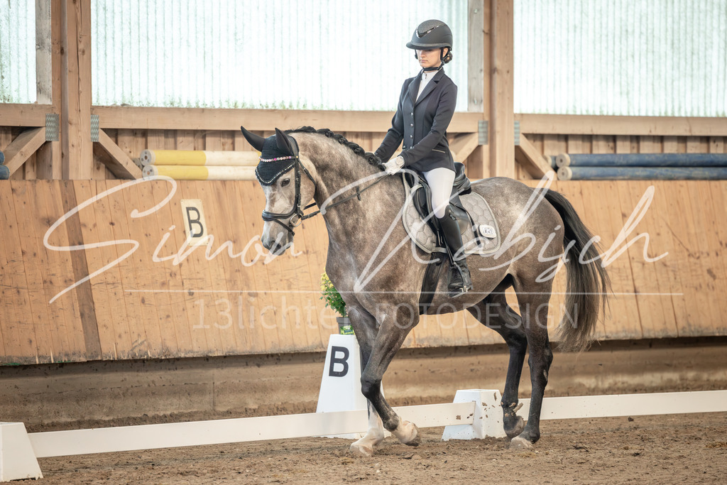 20251011-_3LI7512 | Tierfotografie Pferde, Hunde, Katzen, Haustiere.
Turnierfotografie Reitturniere, Reiten, Springreiten, Dressur in Hanau, dem Main-Kinzig-Kreis und dem Rhein-Main- Gebiet um Frankfurt
