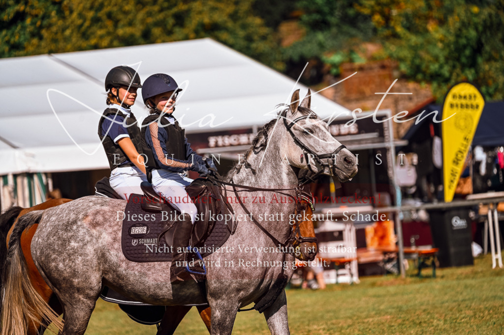 DSC_1206 | Pferde- und Turnierfotografie in Westsachsen. Pferdeportraits, Auftragszeichnungen und intuitive Kunst.