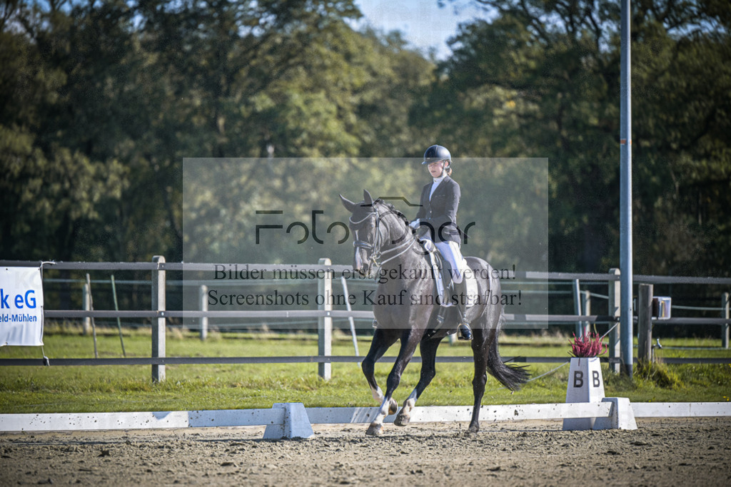 DOS_2496 | Entdecke hochwertige Reitturnierfotos von Foto Oger. Professionell, emotional und authentisch – jetzt Lieblingsmomente im Shop bestellen.Deutschlandweite Turnierfotografie. - Realisiert mit Pictrs.com