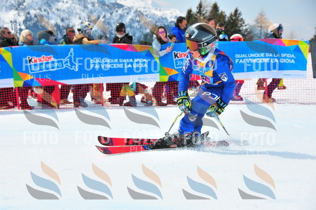 DSC_2594 | holidayphoto