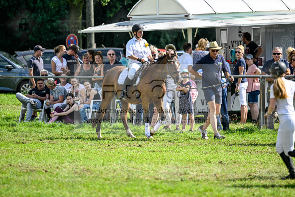 Reitturnier Hasbergen | Entdecke hochwertige Reitturnierfotos von Foto Oger. Professionell, emotional und authentisch – jetzt Lieblingsmomente im Shop bestellen. - Realisiert mit Pictrs.com