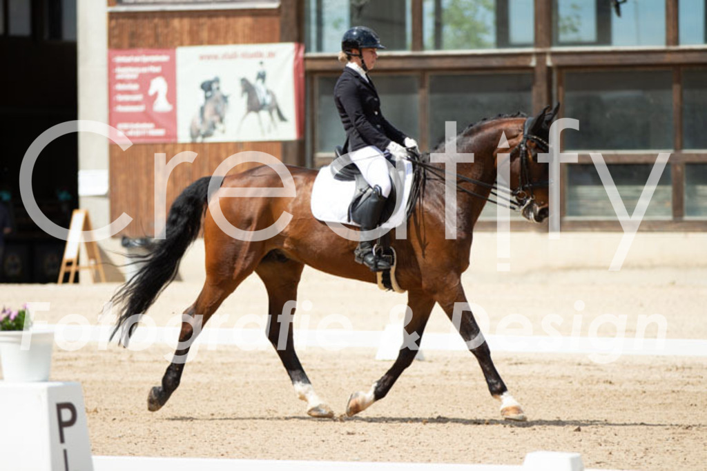 IMG_5826 | Creatify Fotografie