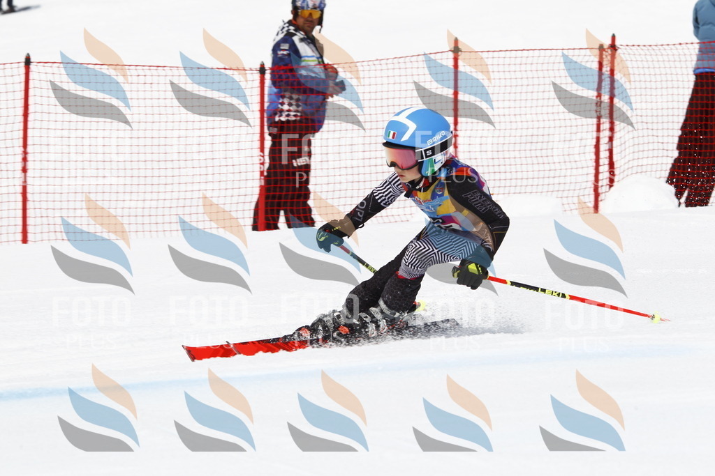 _U3G6206 | holidayphoto