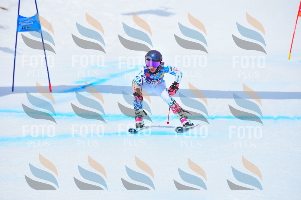 DSC_6312 | holidayphoto